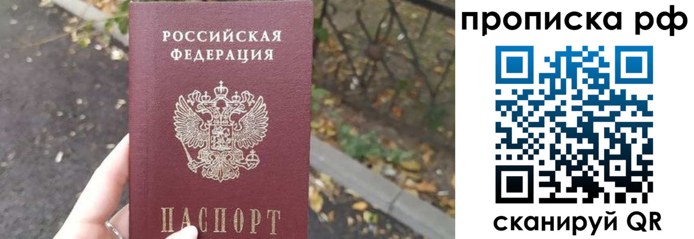 прописка штамп в Сальске